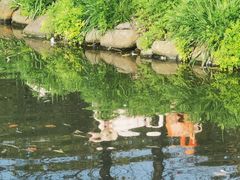 -上海野生动物园