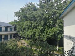 -上海市保健医疗中心(华东疗养院)