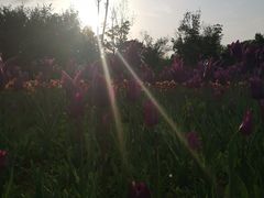 -长春公园(普阳街道)