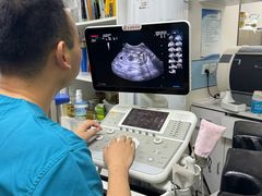 -中农国际动物医院24小时·猫科·骨科·急重症中心