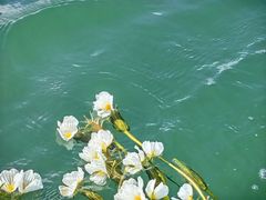 -丽江泸沽湖景区