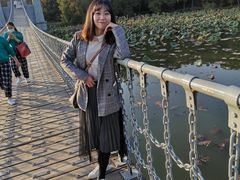 -东湖落雁景区