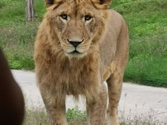 -西安秦岭野生动物园