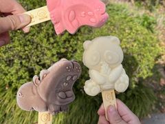 -上海野生动物园