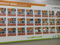 -瑞鹏宠物医院·骨外科·心肾科·肿瘤科(九亭店)