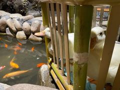 -馬蘭花開(车站大道店)