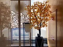 -新盈光·云会所(百丈东路店)