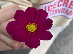 -南关石牌坊古镇