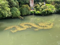-杭州黄龙洞