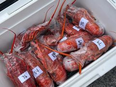 -Kaikoura Seafood BBQ Kiosk