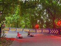 -圣淘沙天际线斜坡滑车