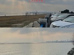 -合肥滨湖国家森林公园