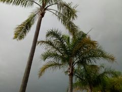 -鼓浪屿钢琴博物馆