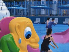 -海合安成都极地海洋公园