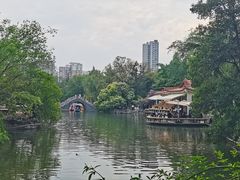 -西苑公园