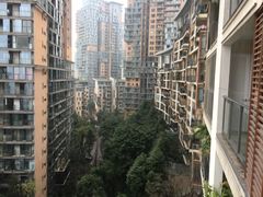 -龙湖·春森彼岸