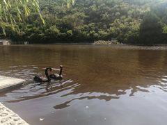 -静之湖度假区
