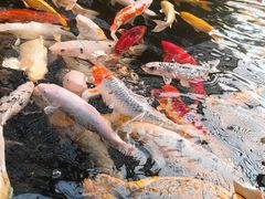 -龙达温泉生态城