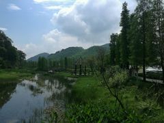 -广州市石门国家森林公园