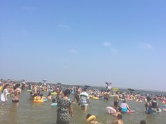 -碧海金沙