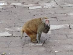 -重庆雨台山风景区