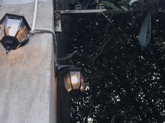 -二楼南书房