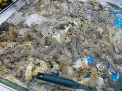 -集品鲜湾·蒸汽海鲜自助料理(青岛银座和谐广场店)