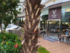 -威克健身游泳(万菱汇店)