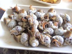 -蚝乡农庄(铁涌赤岸店)