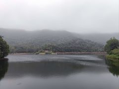 -桃花岭景区