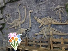 -吉林省自然博物馆