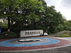 -大渡口区义渡公园