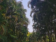 -田心森林公园