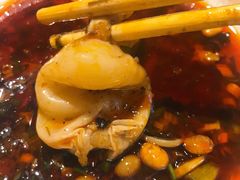 鱼肚-蜀滋香鲜鱼美蛙火锅(339店)