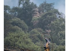 -缙云山景区