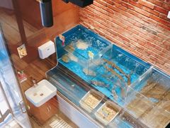 -洞庭鱼香(万科店)