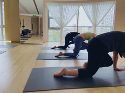 -酉嘉瑜伽YO+YOGA