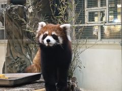 -海合安武汉极地海洋公园