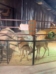 -酷嗒动物文化乐园(cutezoo西溪乐天城店)