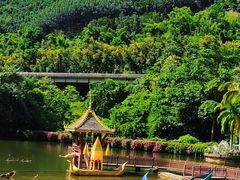 -西双版纳原始森林公园