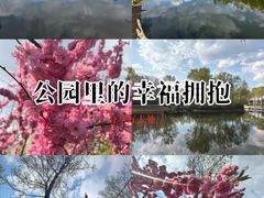 -群力丁香公园