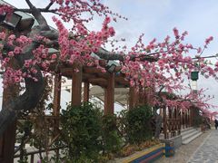 -小洋口旅游度假区