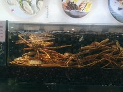 -宝燕壹号(徐汇店)