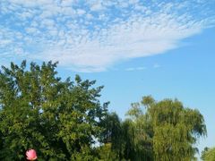 -荷塘月色湿地公园·向阳花洲