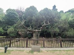 -草庵摩尼教遗址公园