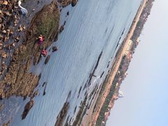 -青岛第三海水浴场