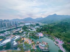 -温州乐园