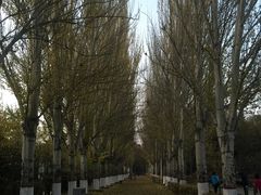 景点-青城公园