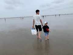 -碧海金沙
