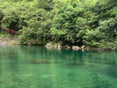 -石台牯牛降景区